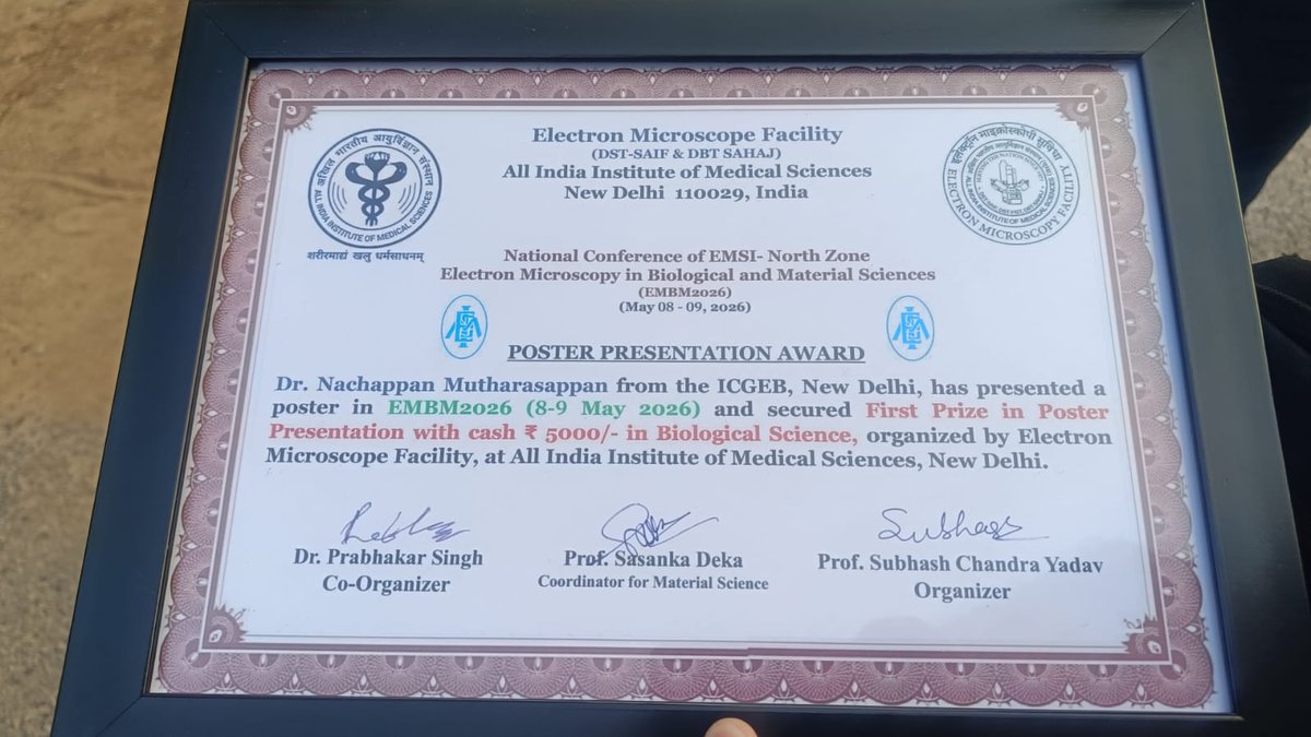 ICGEBNewDelhi's tweet photo. Congratulations to Dr. Nachappan Mutharasappan (#DrNachi) on winning the #FirstPrize in Poster Presentation (Biological Science category) at the National Conference of EMSI–North Zone: Electron Microscopy in Biological and Material Sciences (EMBM2026), organized by the Electron Microscope Facility, @aiims_newdelhi . Dr. Nachi presented the poster titled “Structural and CryoEM characterization of Phenylalanyl-tRNA synthetase with novel inhibitors”, representing the research work from his #StructuralParasitology group @ICGEBNewDelhi , and was also awarded a cash prize.
Heartiest congratulations on this achievement and recognition!
#ICGEBNewDelhi #AIIMSNewDelhi #ElectronMicroscopy #MalariaResearch