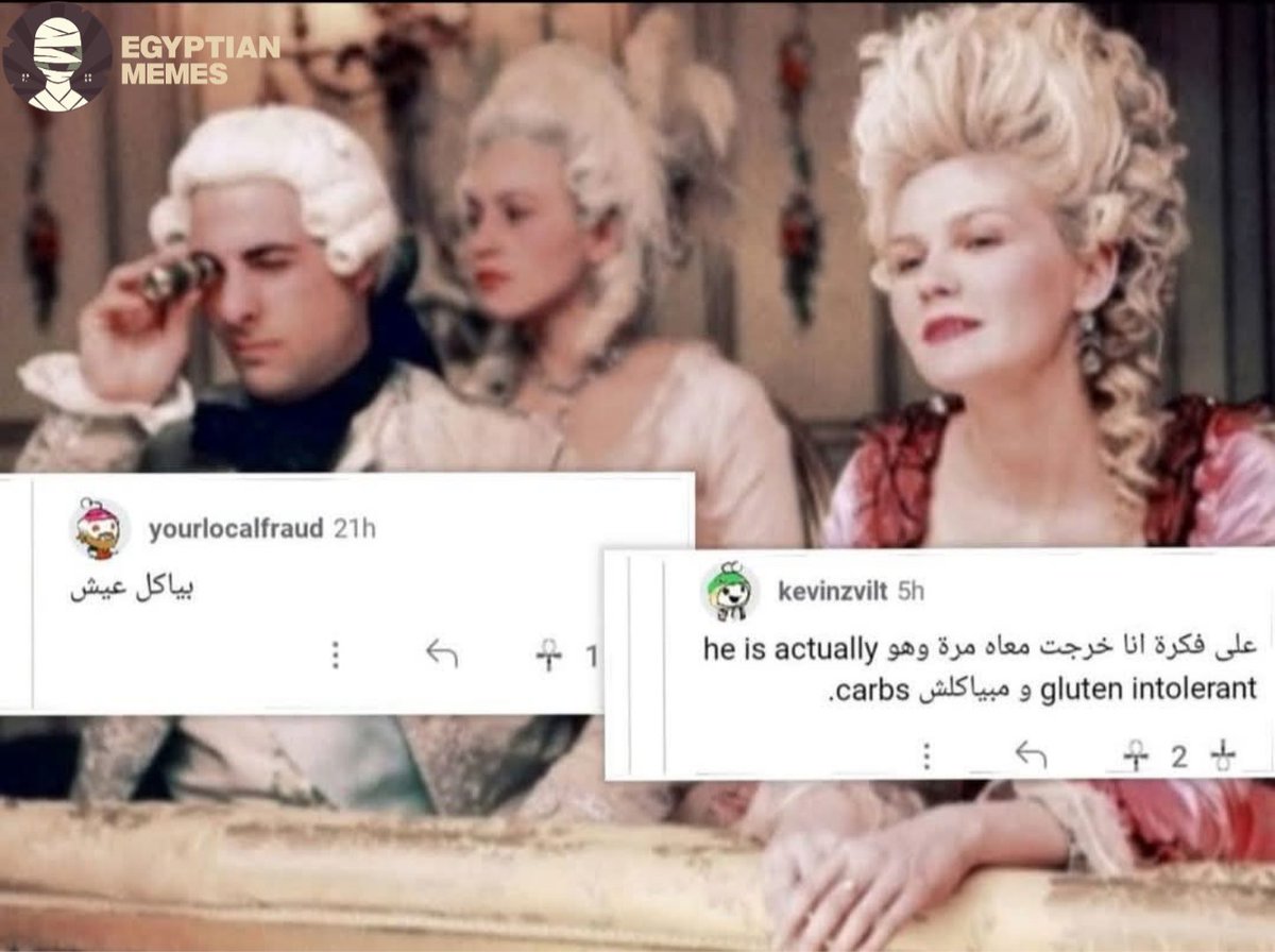 Egyptian Memes tweet media