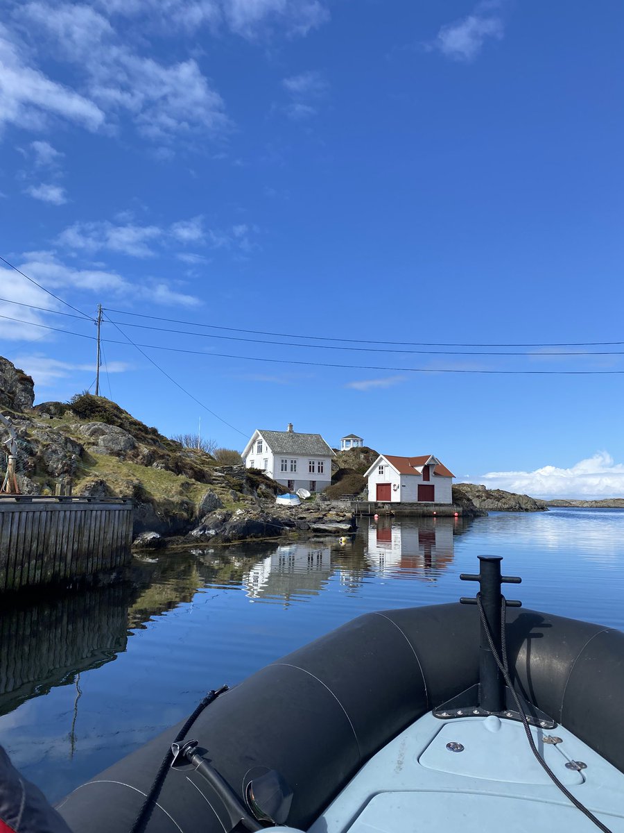 BobsyRob's tweet photo. Needed the @MrShaw75 Beanie hat today #freezing #norway #haugesund #ribboat https://t.co/GMEnBjY0WG