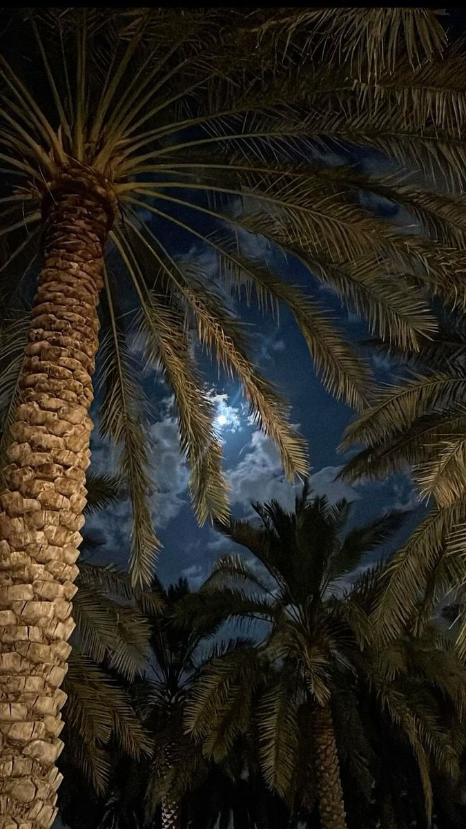 الباطنيه tweet media