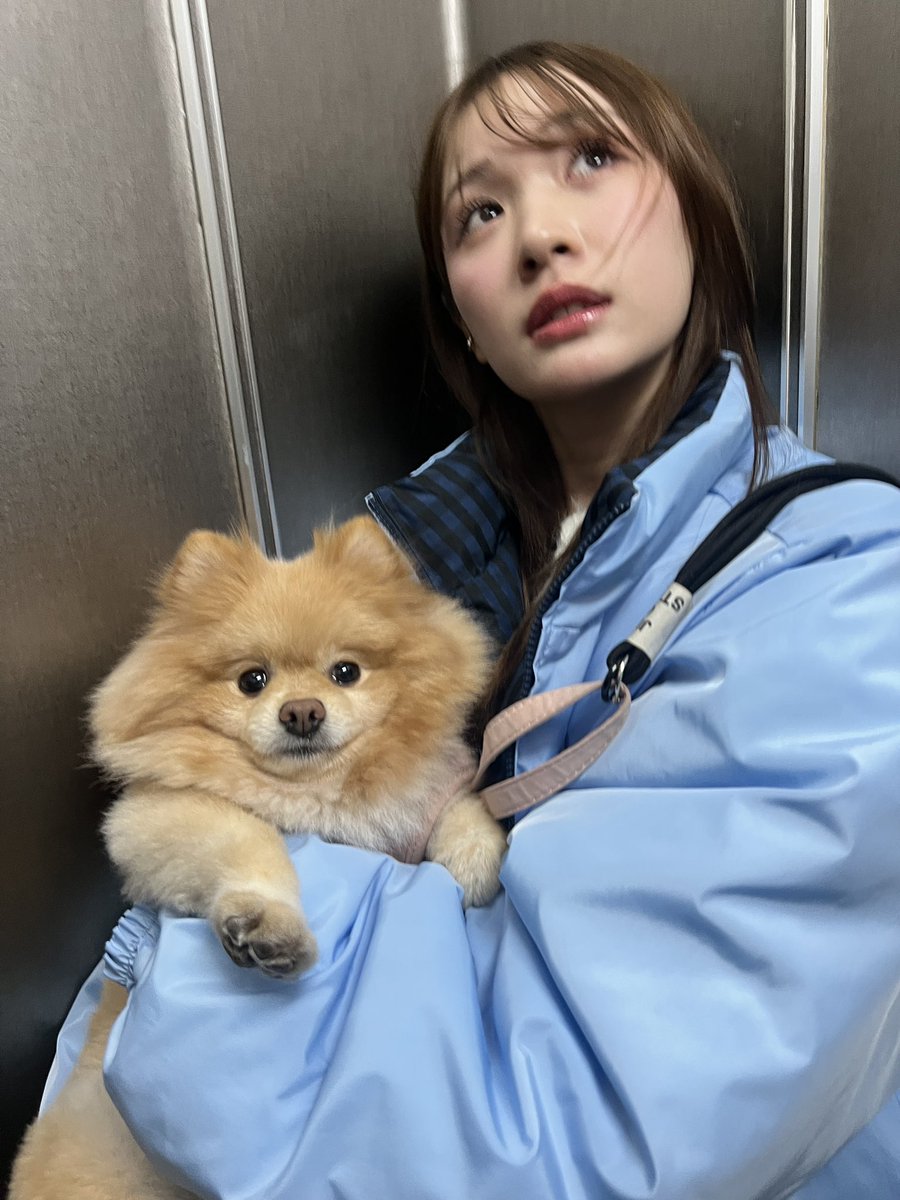 kureha_nakagawa's tweet photo. https://t.co/8piecaW2Lh