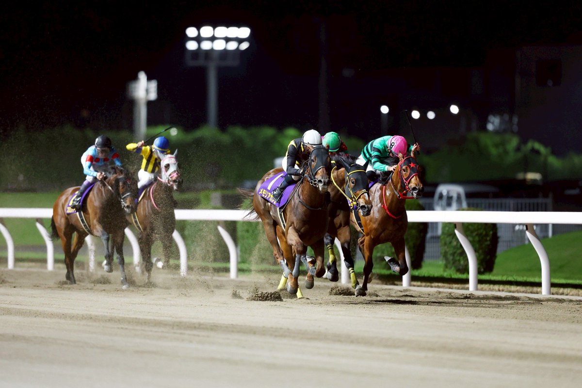 地方競馬全国協会(NAR)公式 tweet media