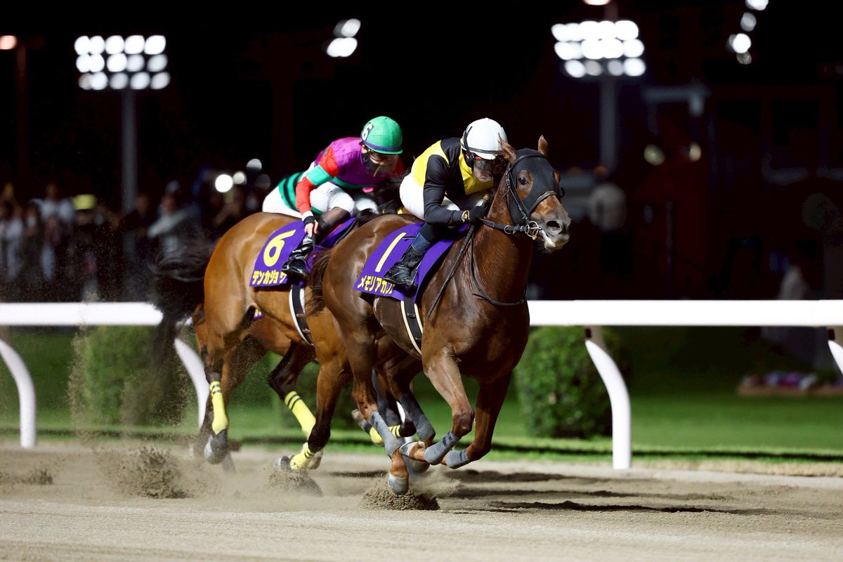 地方競馬全国協会(NAR)公式 tweet media
