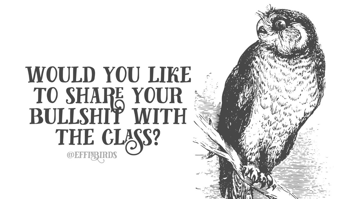 Effin' Birds tweet media