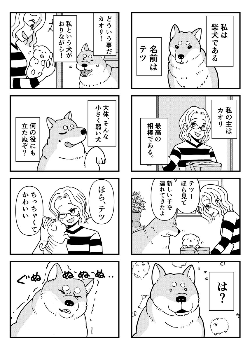 さく兵衛 tweet media