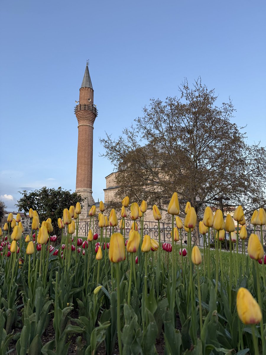 drcgdm's tweet photo. Çifte Minareli Medrese ve Kale Camii 

#Sivastailkbahar https://t.co/UnKJ9NU0Zh