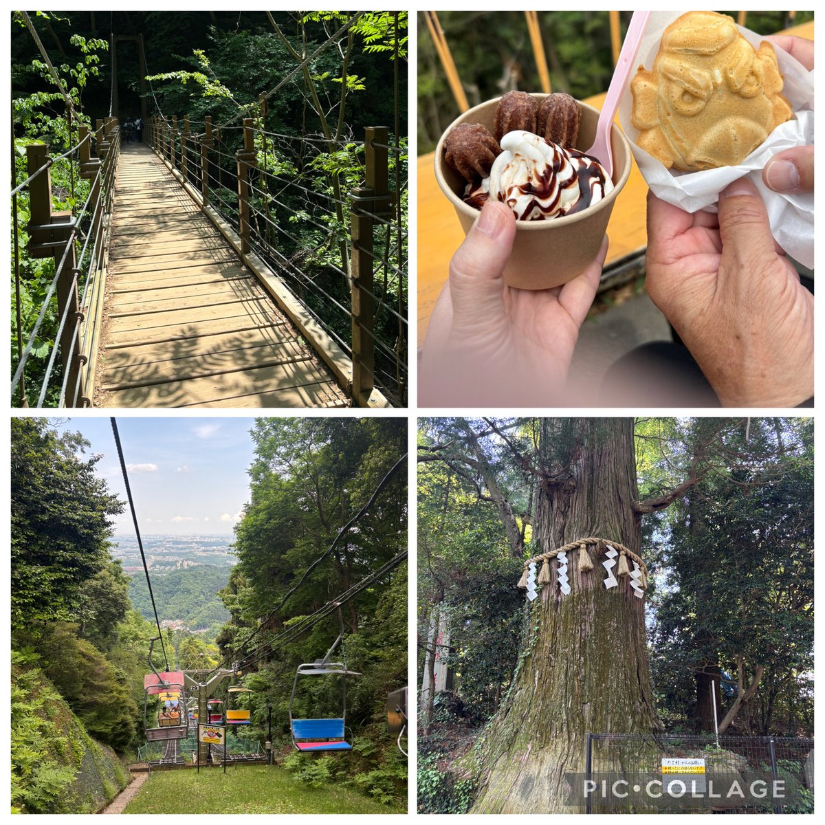 chani97103's tweet photo. 高尾山⛰️一度行ってみたかった
昔のドラマ　ハコイリムスメ
ロケ地巡り楽しかった😊 https://t.co/3RjrmoWapl