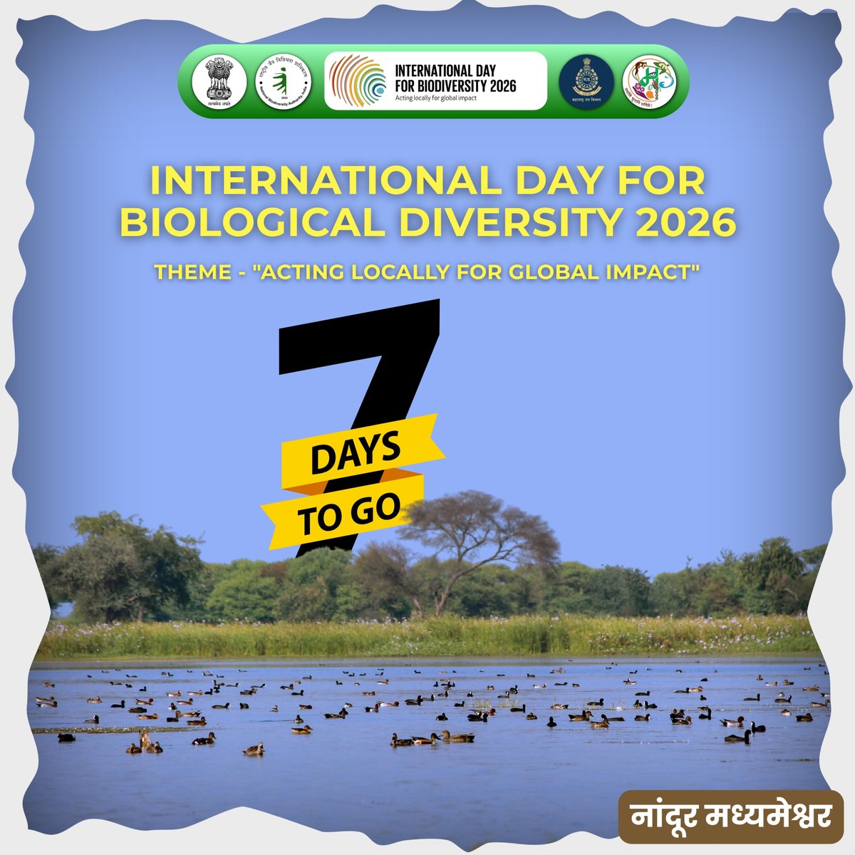 maharashtrasbb's tweet photo. 7 Days to Go! 🌍

The countdown to International Day for Biodiversity 2026 has officially begun.

#BiodiversityDay #ActLocally #GlobalImpact #NatureConservation #7DaysToGo #NandurMadhmeshwar @NationalBiodiv @vrtiwari1 @Rambha2124 https://t.co/NGB3Tb5cOS