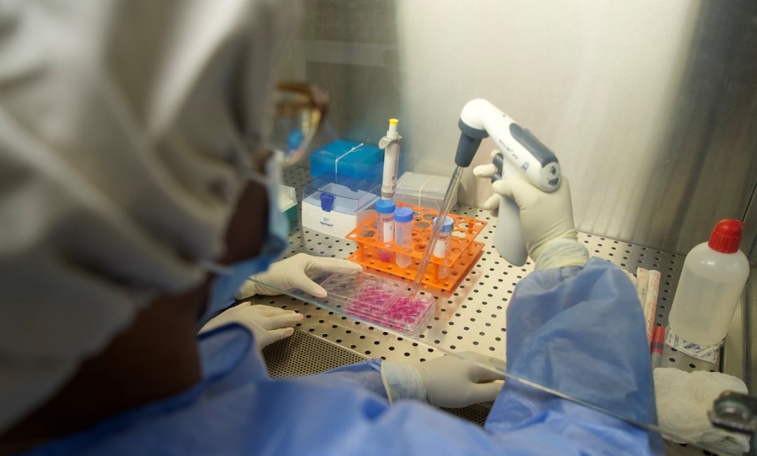BioCubaFarma's tweet photo. Investigamos, producimos, colaboramos y buscamos alianzas mutuamente beneficiosas. Seguimos trabajando con dedicación por nuestra soberanía.
#LaPatriaSeDefiende https://t.co/d9Dp8uDacF