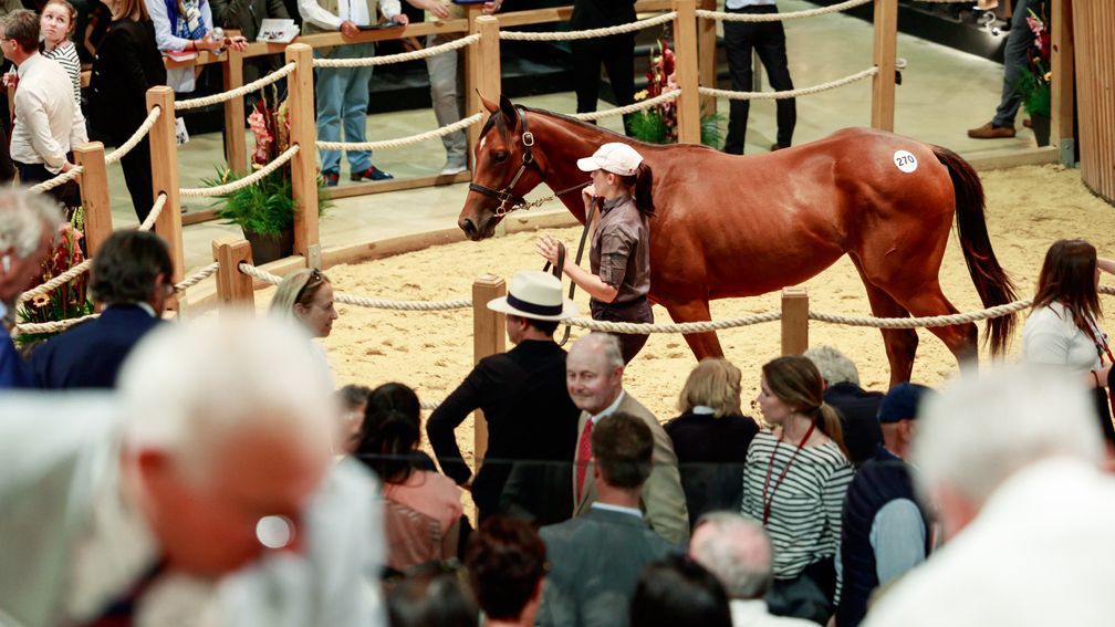 Racing Post Bloodstock tweet media