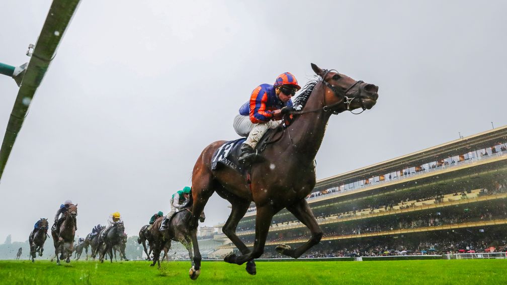 Racing Post Bloodstock tweet media