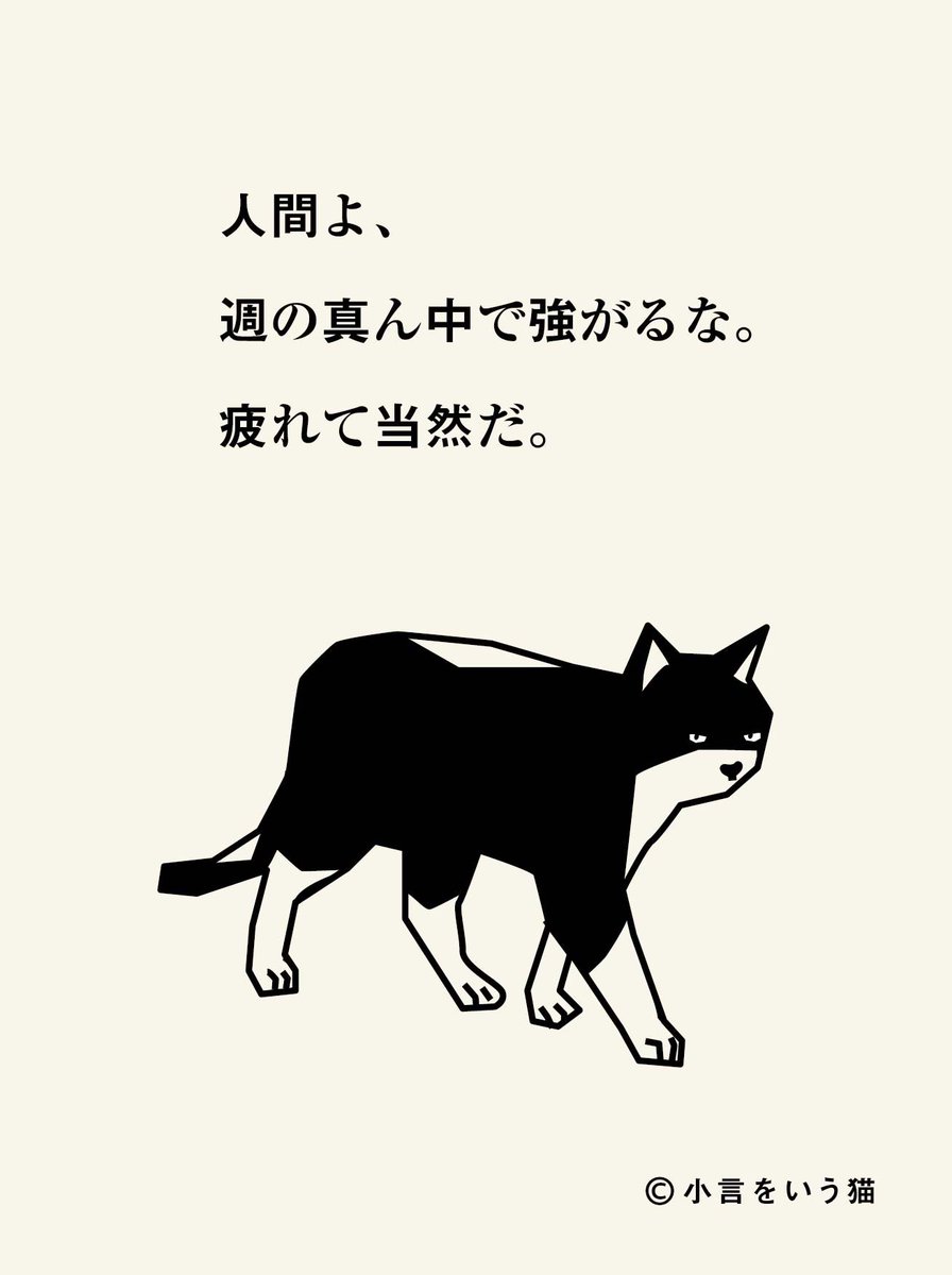 小言をいう猫 tweet media