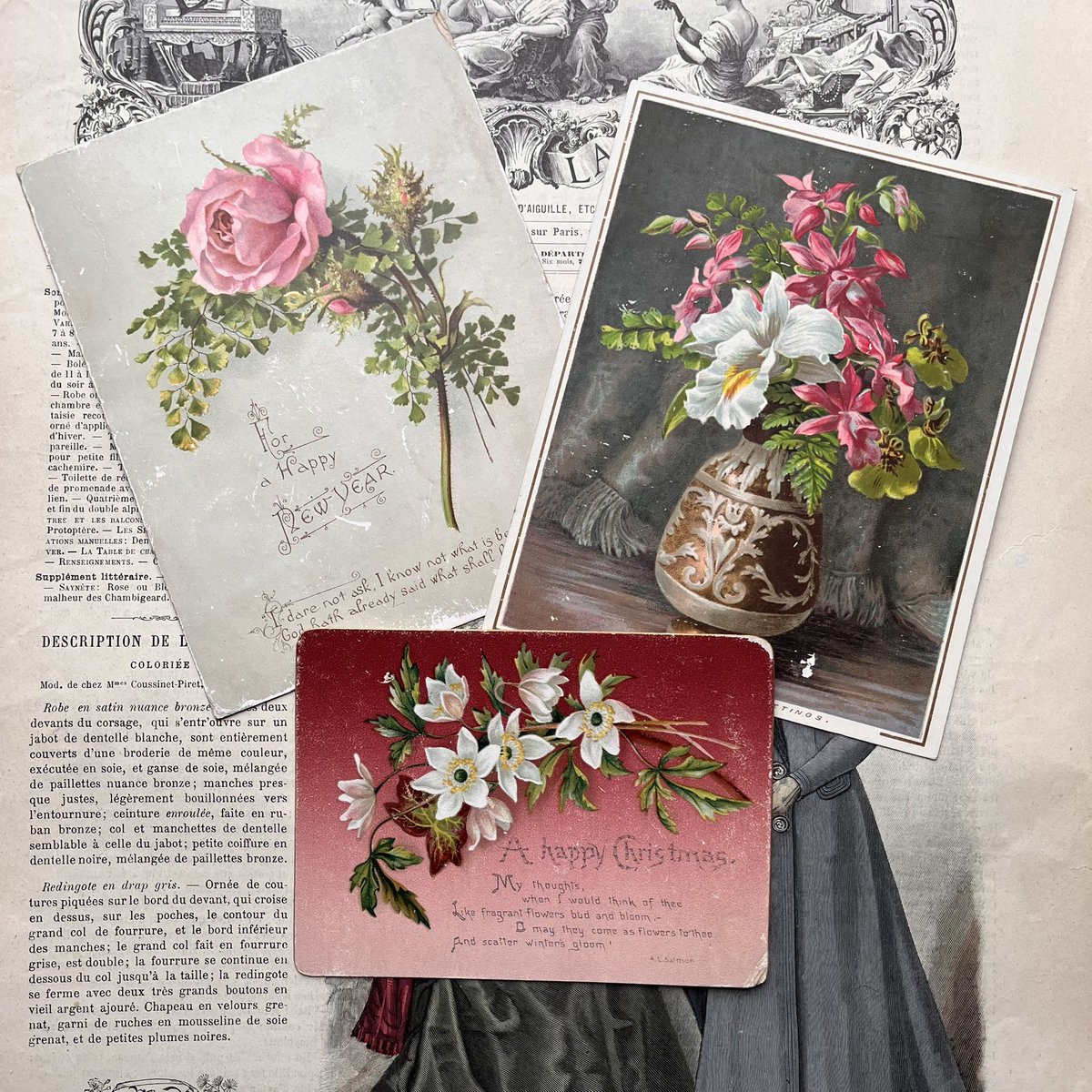 pepinatruffle's tweet photo. Three Victorian floral cards now on my Instagram… £6 for all
#victorian #victorianephemera #victorianflowers #victorianroses #vintageephemera https://t.co/3aKf63TKXn