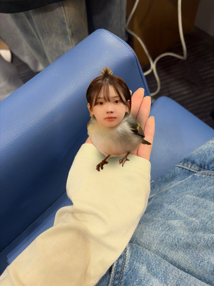 ㄹㅁㅉ.. tweet media