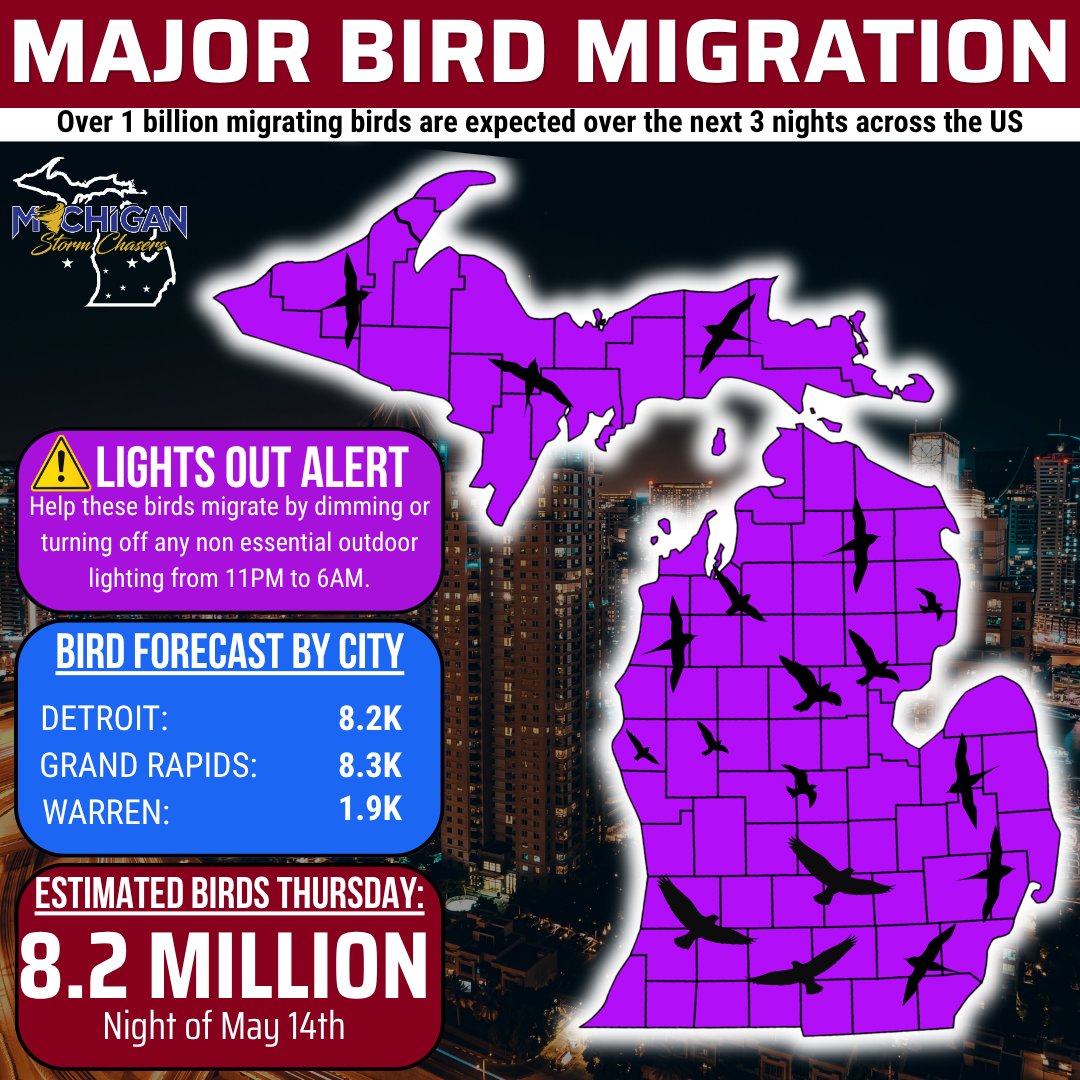 Michigan Storm Chasers tweet media
