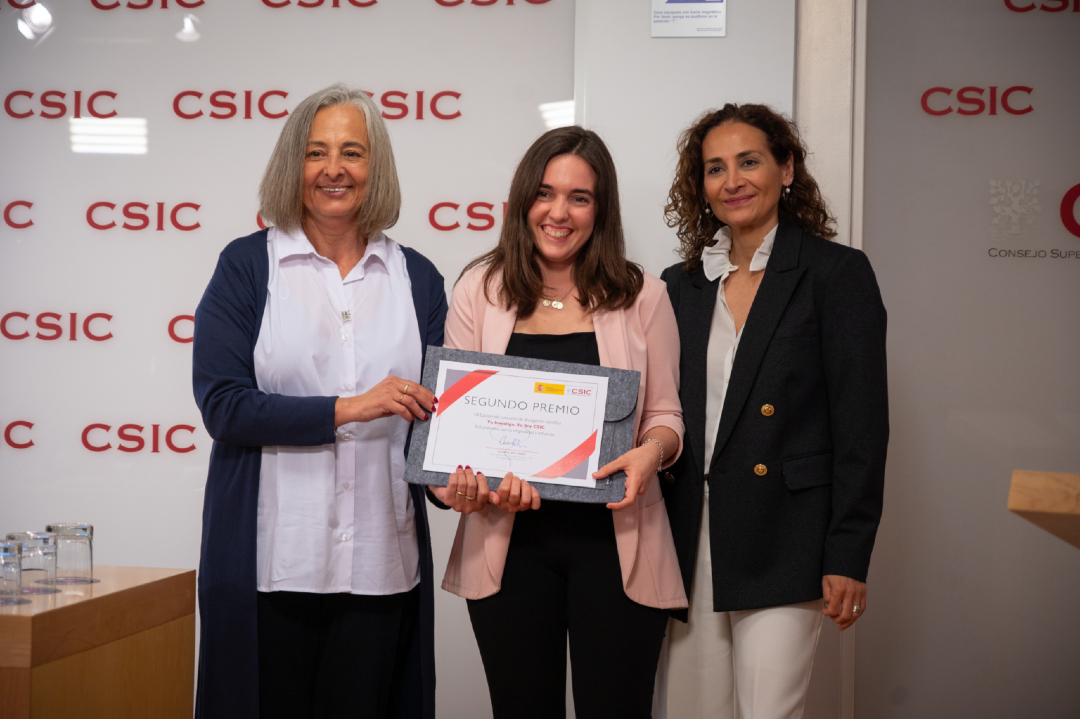 Postgrado CSIC tweet media