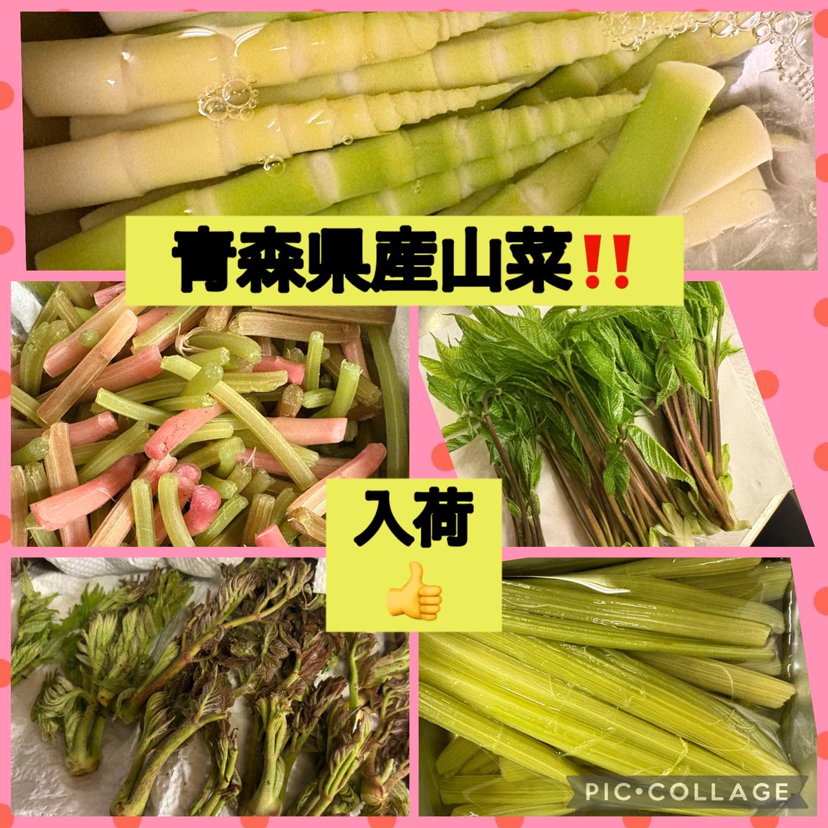 AomoriSouls's tweet photo. 青森Soulsです😊
青森がら青森産山菜がたくさん入荷😆根曲り竹、ふき、コシアブラ、たらの芽、ミンズ、写真にはないばてワラビ‼️天ぷら、おひたし、炒めお客さまのご要望にて調理するはんで(^^)ご予約まぢでるはんで👍
#青森
#青森Souls
#亀戸
#山菜 https://t.co/y9IaNixCNc