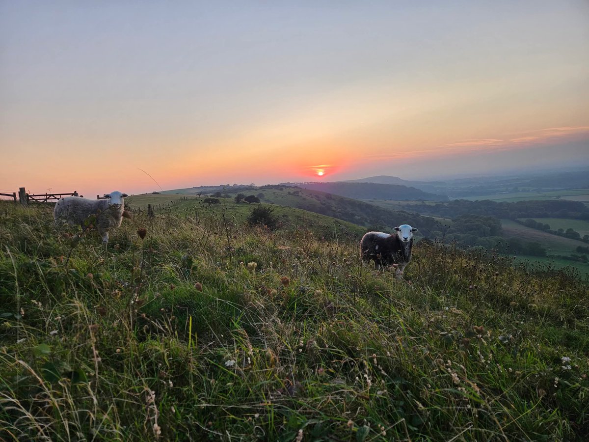Cliffefarmvets tweet picture