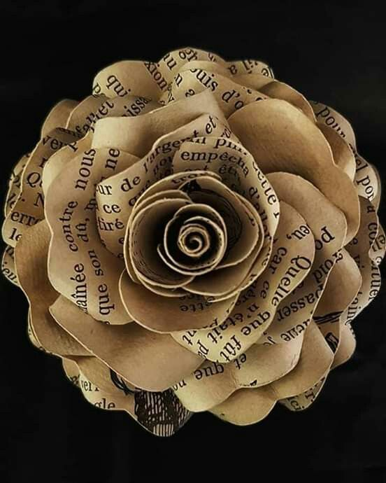 Pan2ra_'s tweet photo. No me fío de la rosa
De papel,
Tantas veces que la hice
Yo con mis manos.
Ni me fío de la otra
Rosa verdadera,
Hija del sol y sazón,
La prometida del viento.
De ti que nunca te hice,
De ti que nunca te hicieron,
De ti me fío, redondo
Seguro azar. https://t.co/9PspAseszs