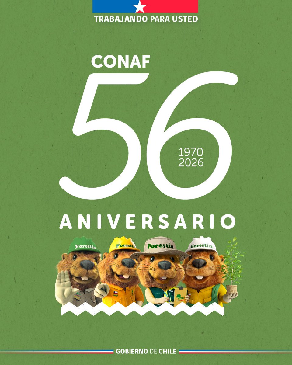 CONAF - Corporación Nacional Forestal tweet media