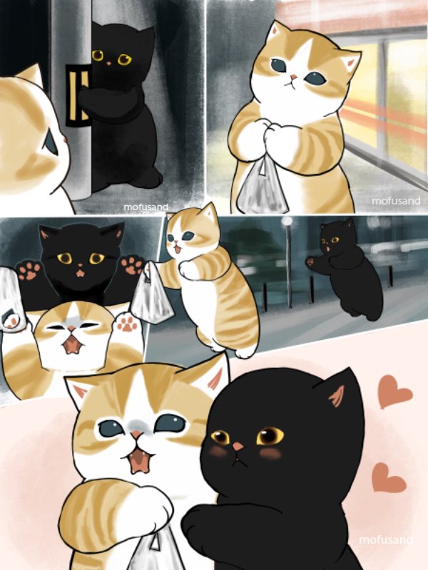 ぢゅの🐈 tweet media