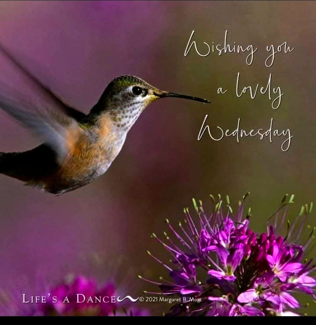 Ruth Lowry tweet media