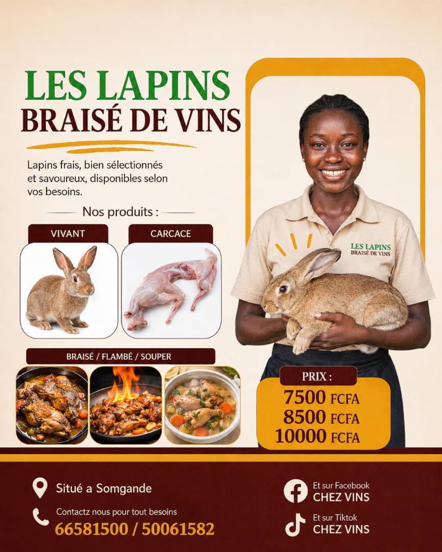 VINS tweet media