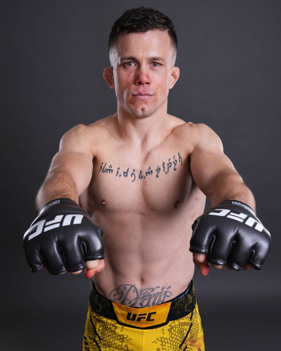 UFC Español tweet media