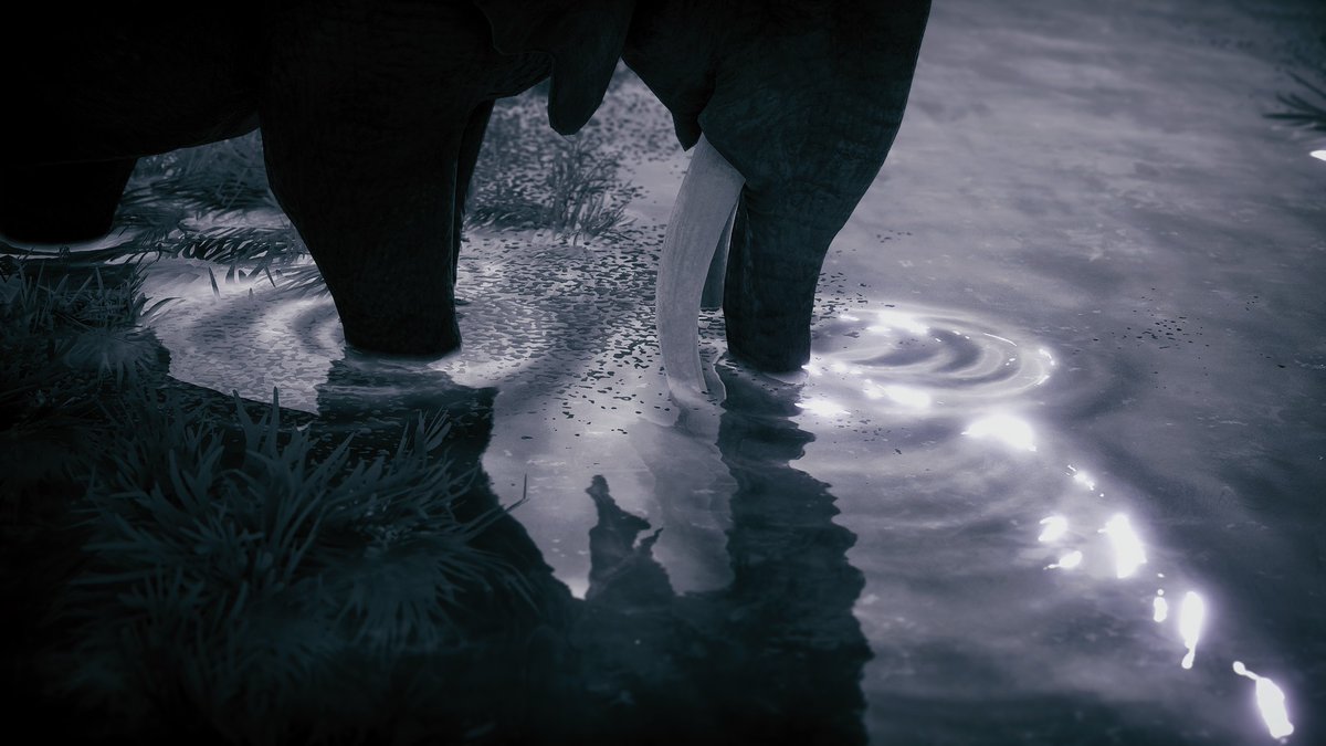 spread_her_wing's tweet photo. #TCCAnimals #seclusa #virtualphotography #thecapturedcollective https://t.co/deoBzYTeoD