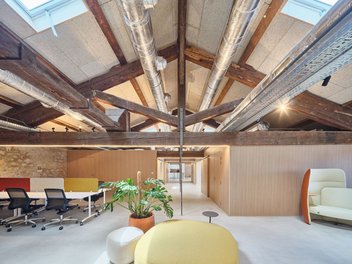 Archello tweet media