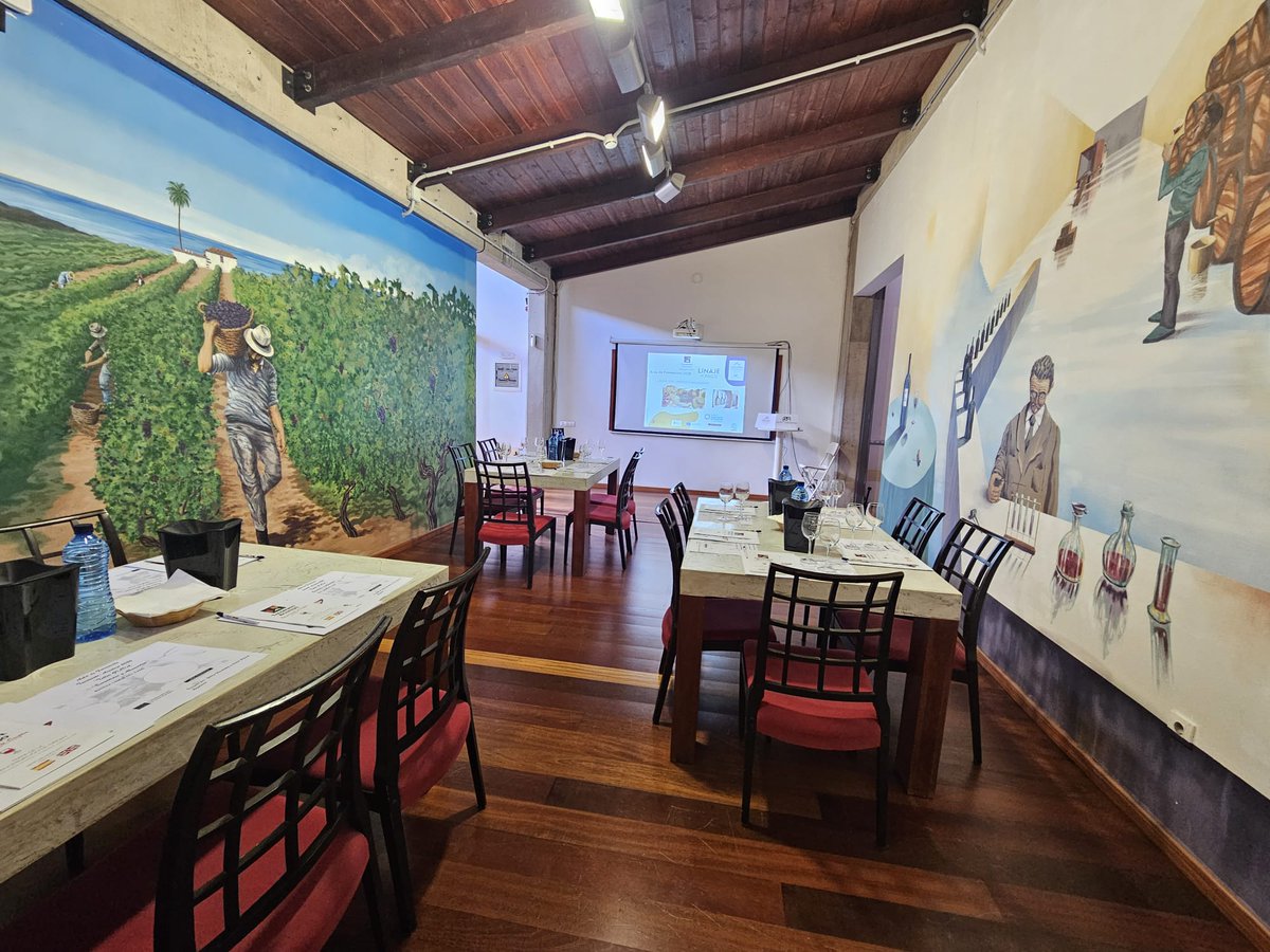 Tacoronte-Acentejo tweet media