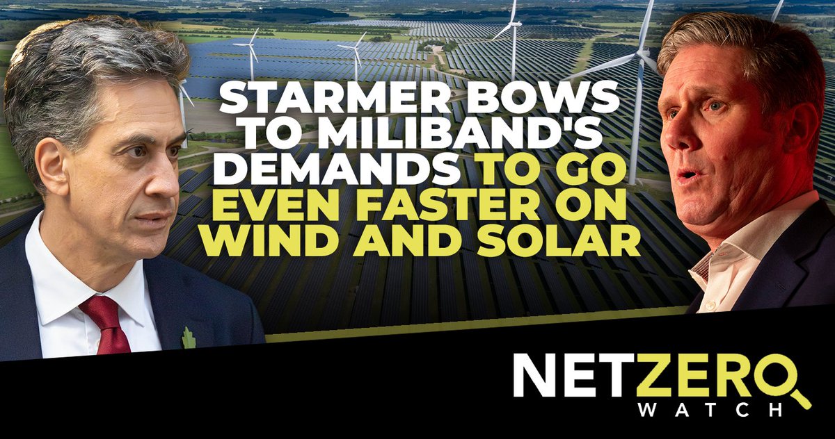 Net Zero Watch tweet media