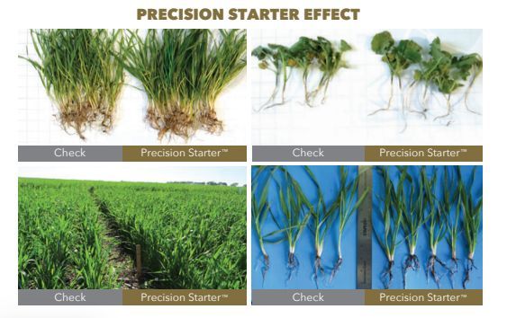 Precision Ag tweet media