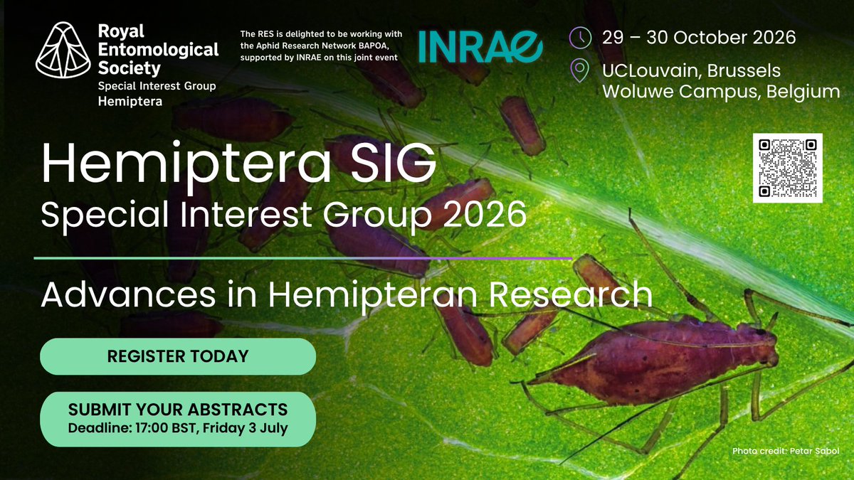 Royal Entomological Society tweet media