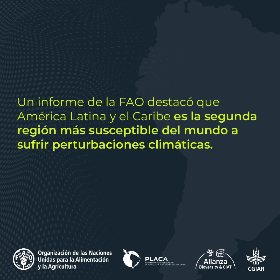 FAO Américas tweet media