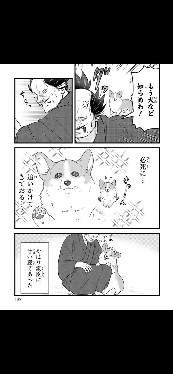 愛犬との関係

#愛犬の日
#殿と犬🐶 
