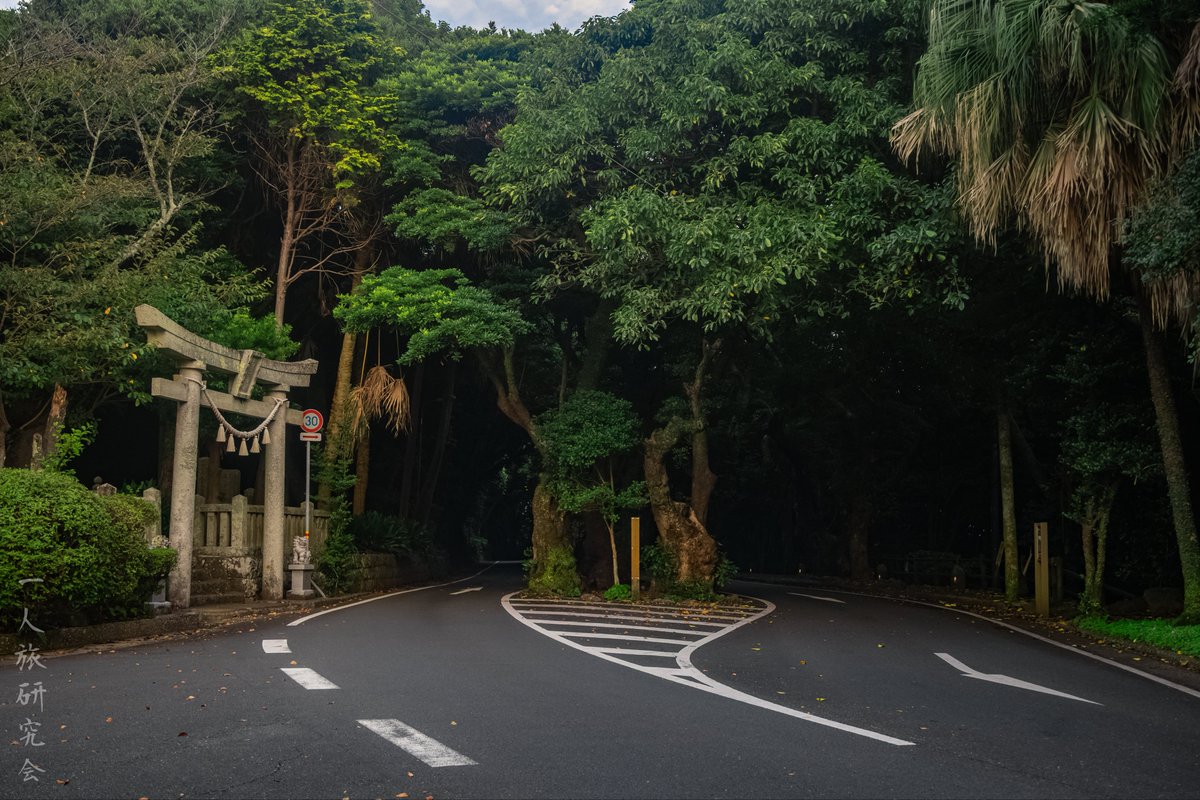 一人旅研究会 tweet media