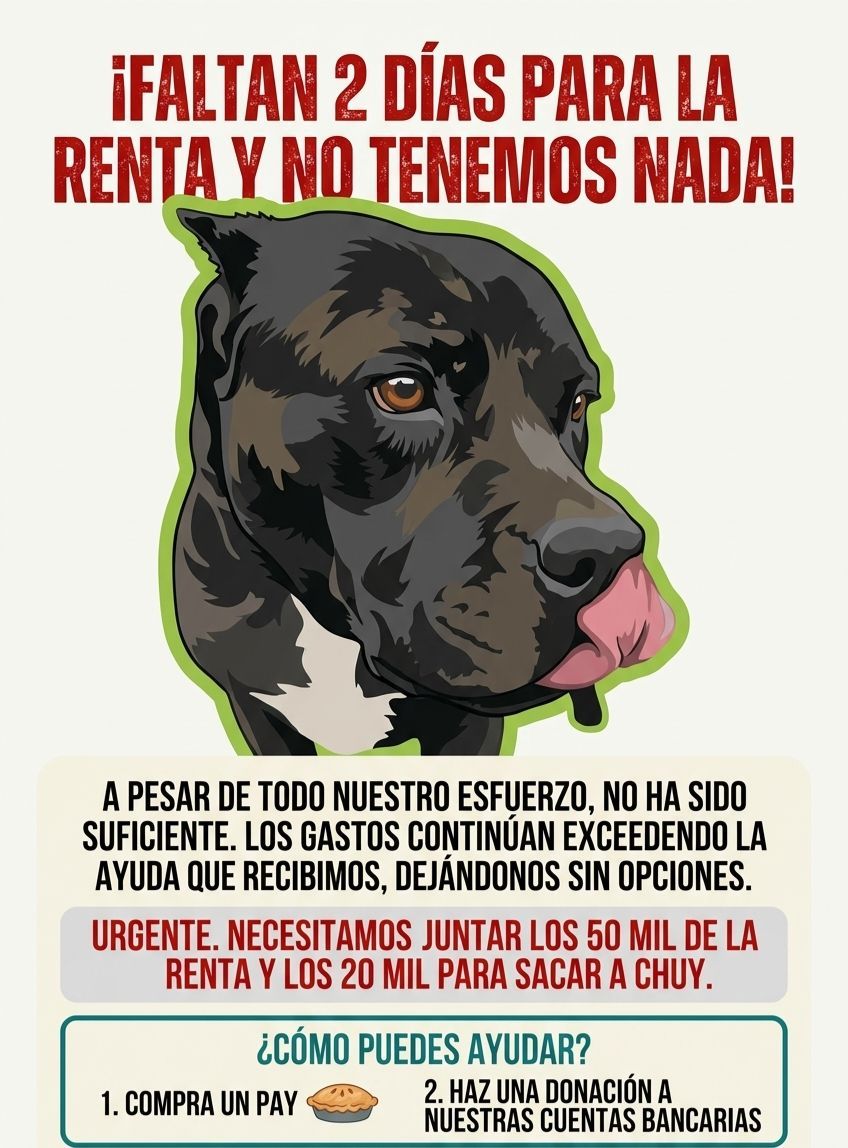 Fundación Toby tweet media