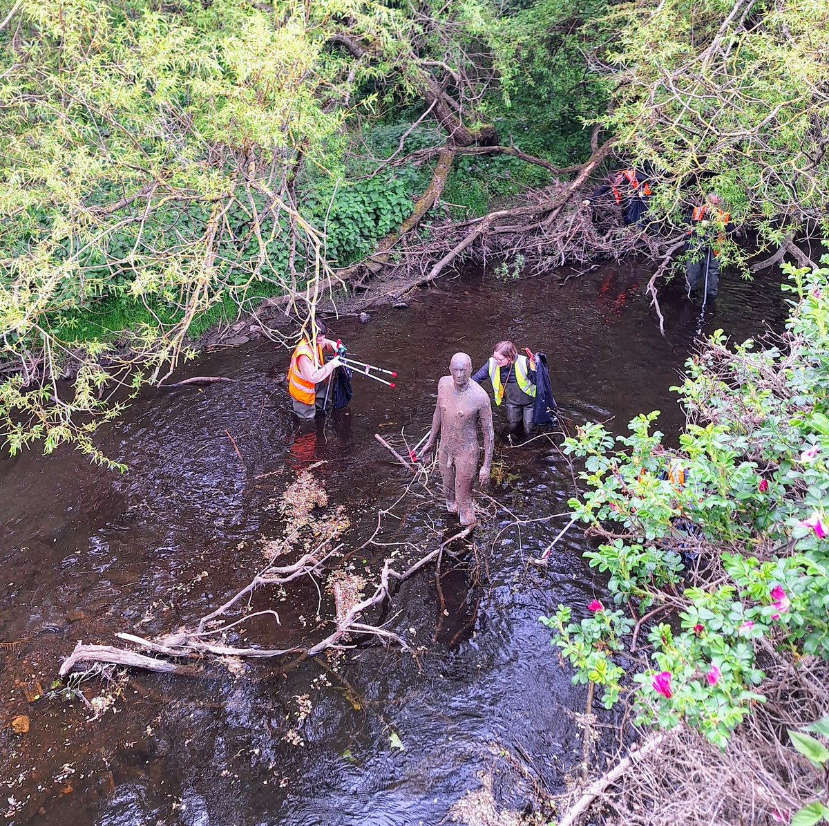 Water of Leith Conservation Trust tweet media