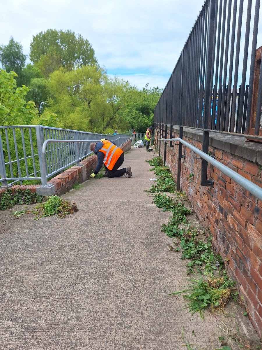Water of Leith Conservation Trust tweet media