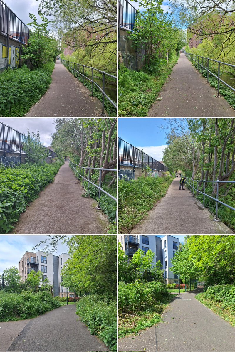 Water of Leith Conservation Trust tweet media