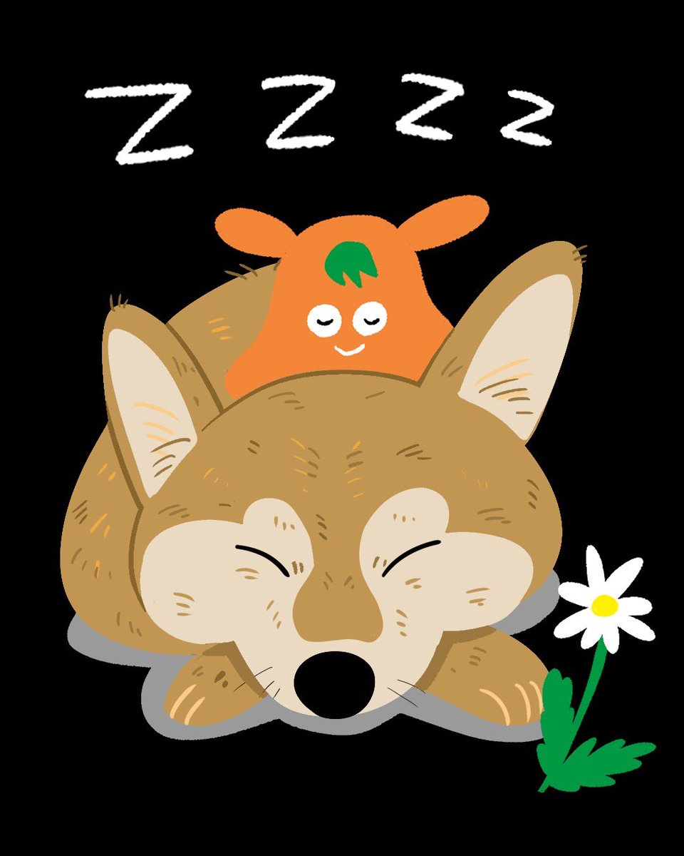 なかよし #愛犬の日 #犬 #めんだこ #昼寝