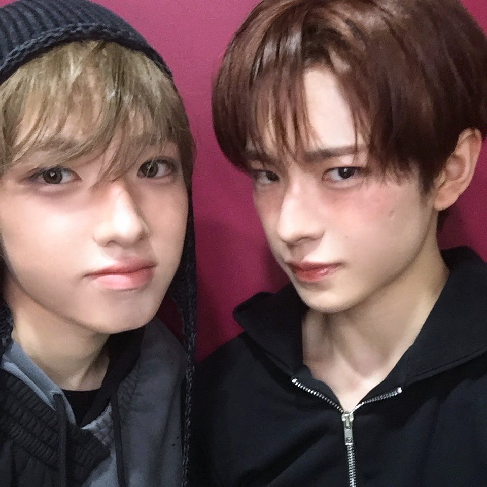 기니쿠や tweet media