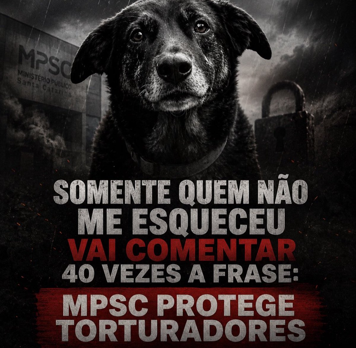 kaarolzx tweet media