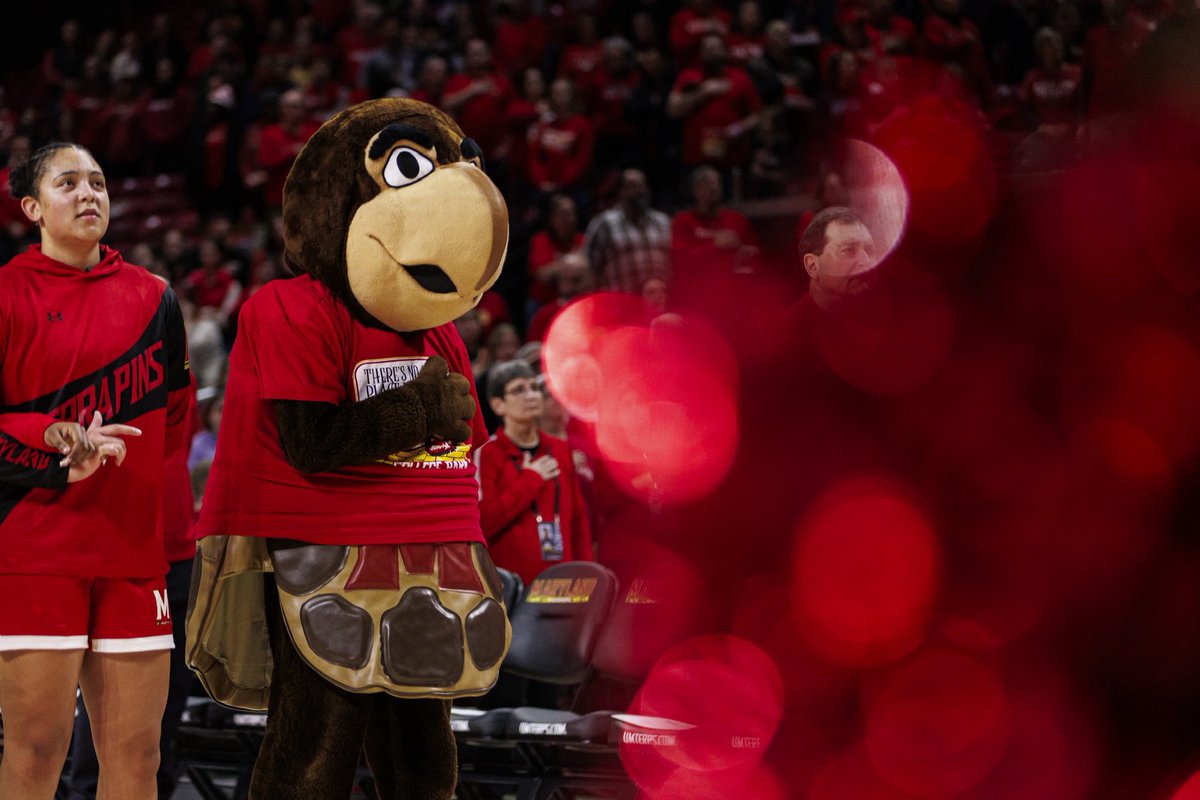 AustinDeSisto's tweet photo. Some favorite shots of @BWeissel as @Testudo_UMD over the past two years 🐢 https://t.co/OiB0OQvh8A