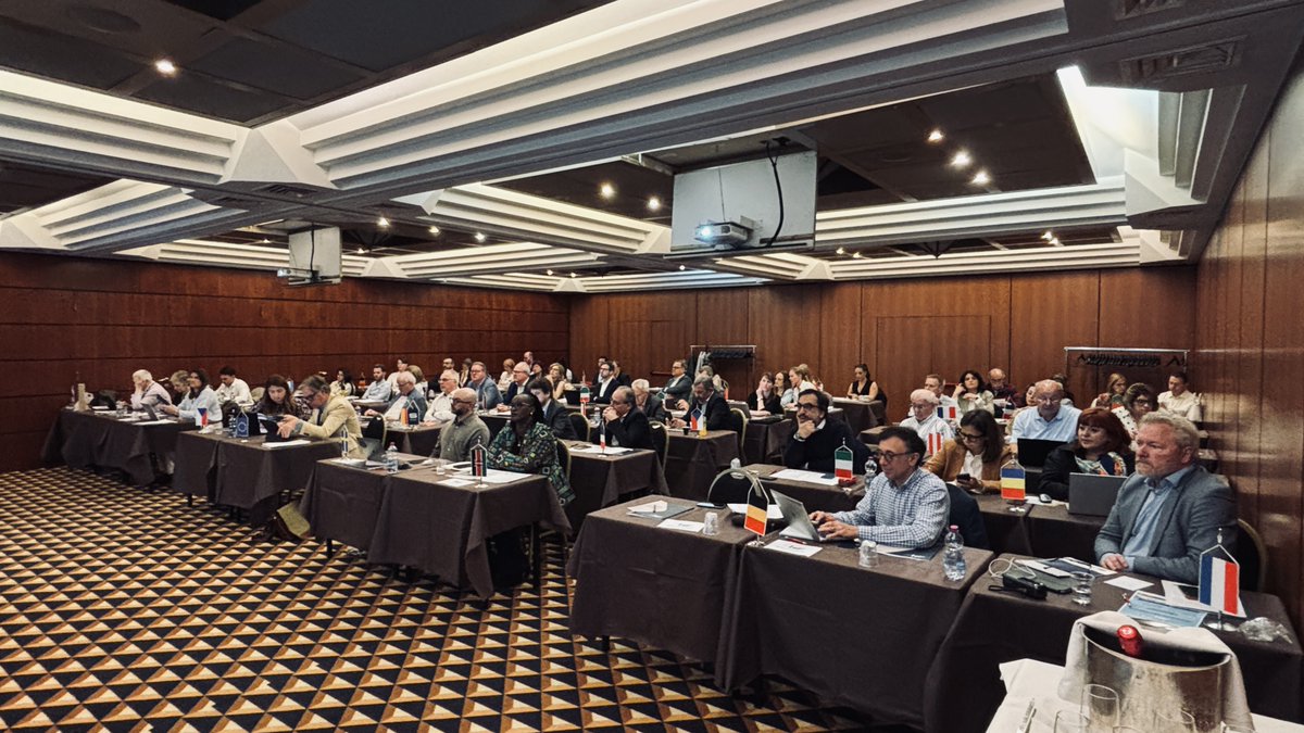 EuroAgeingNet's tweet photo. At the EAN General Assembly in Naples, Marco Socci from IRCCS INRCA presented the WELL CARE project to 60+ delegates from across Europe and a delegate from Kenya. The presentation focused on resilience and mental wellbeing of informal carers and LTC workers.
#WellCareProject https://t.co/hmKtEsSH2G