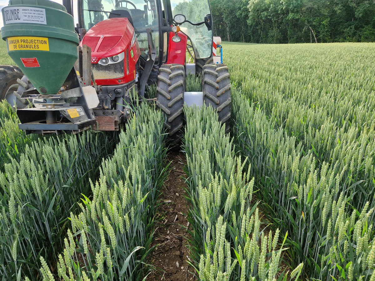 Agroecology & intercropping tweet media