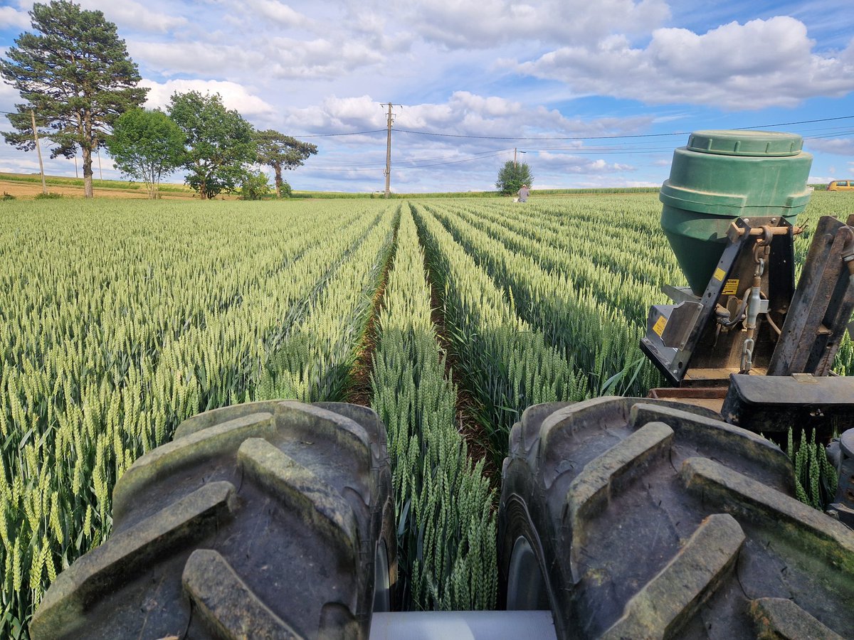 Agroecology & intercropping tweet media
