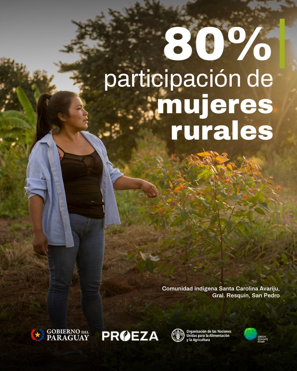 Instituto Forestal Nacional del Paraguay tweet media