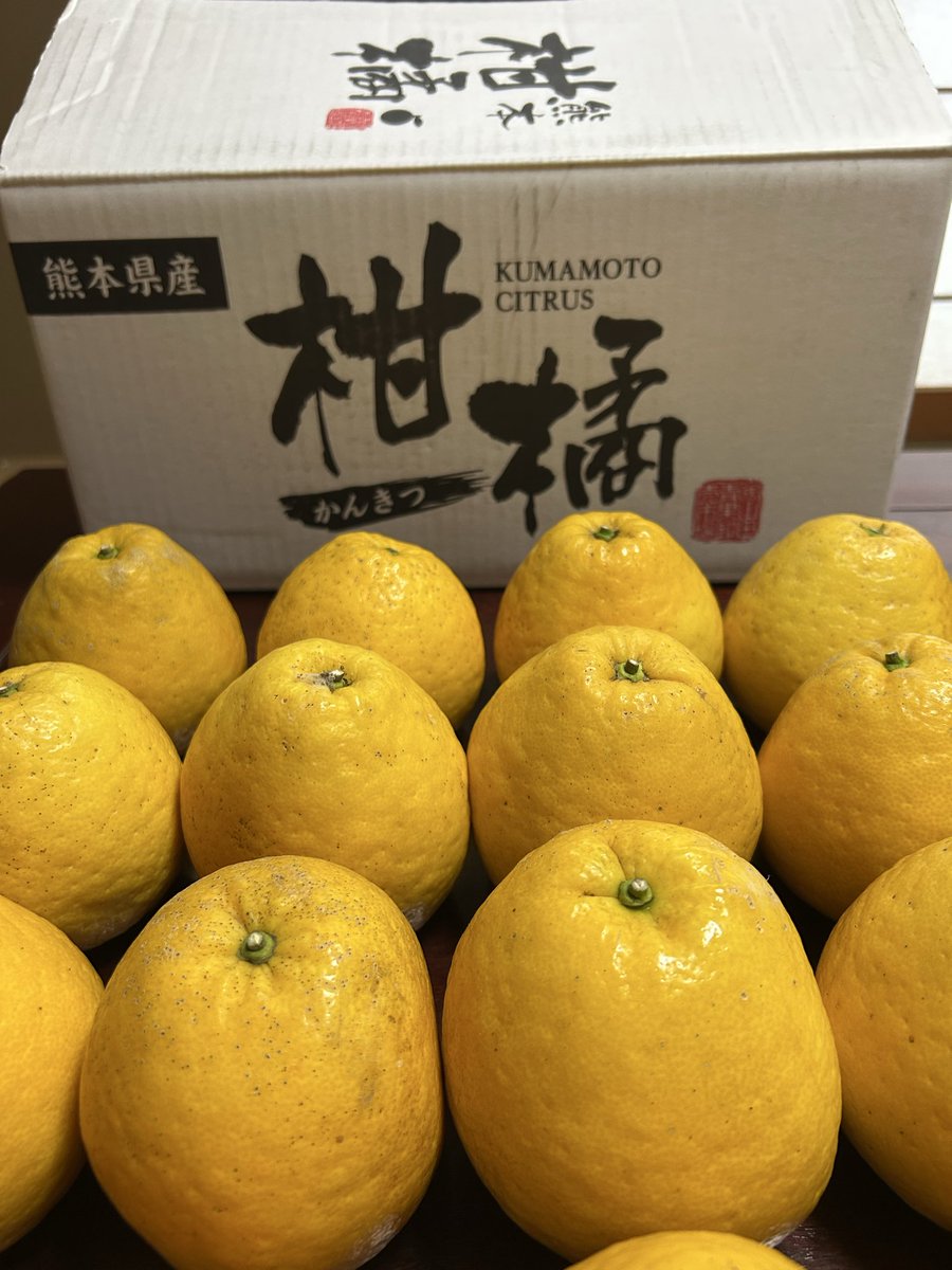 chamomil_325's tweet photo. 今日も1日お疲れ様でした🍀
晩柑🍊
冷蔵庫で冷やして食べるとジューシーでめっちゃ美味しい😋💕

少し前に頂いた苺🍓&amp;🍅も採れたて
フレッシュで美味しく頂きました💖

#熊本県
#晩柑
#苺
#フルーツトマト https://t.co/WZafkwdIq4